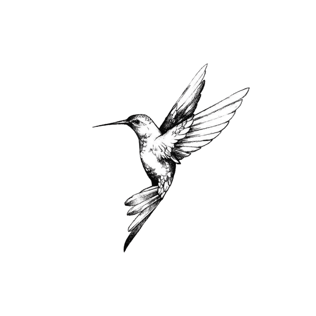Humming-Bird - INKHUB