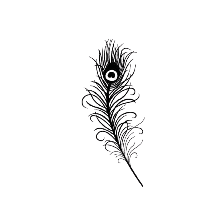 Peacock Feather - INKHUB