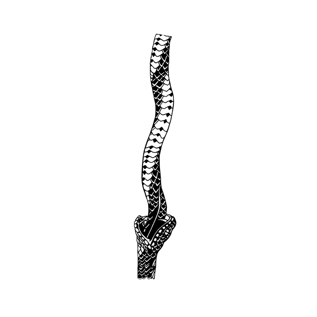 Endless Snake - INKHUB