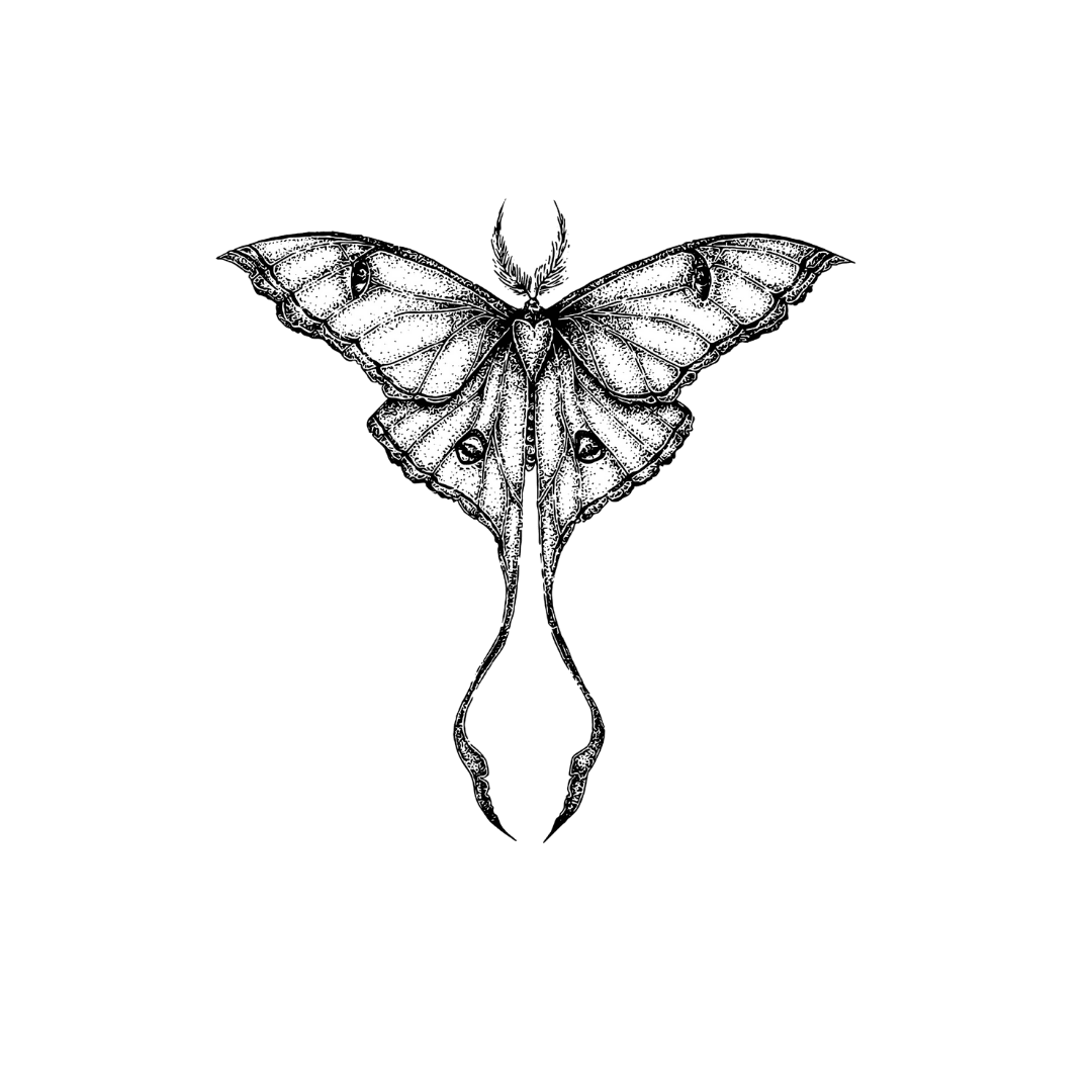 Celestial Moth - INKHUB