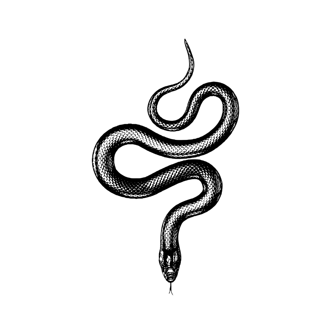 Nightmare - INKHUB