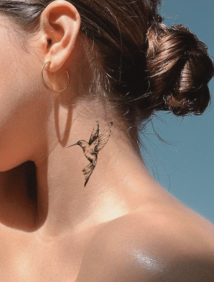 Humming-Bird - INKHUB