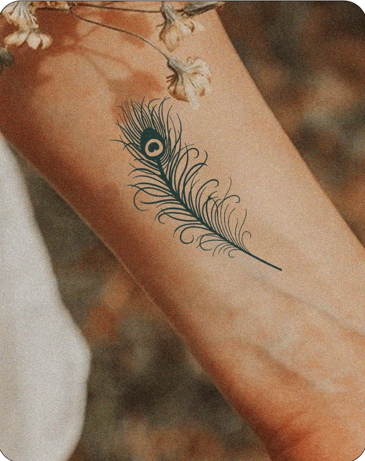 Peacock Feather - INKHUB