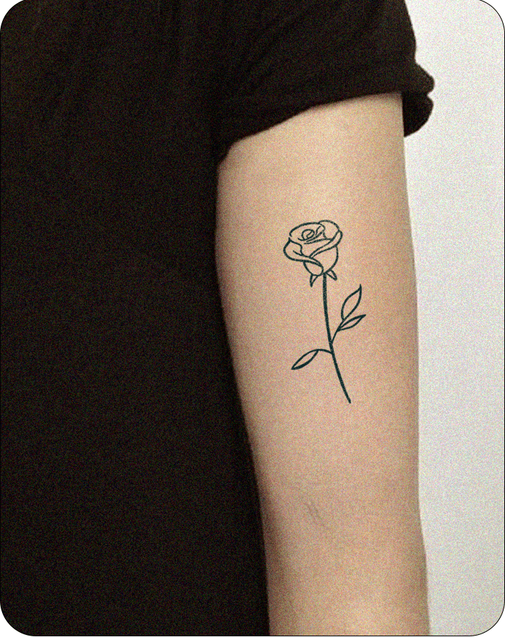 Plain Rose - INKHUB